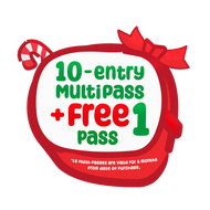 🎄XMAS PROMO - Multipasses 10 + 1 (valid for 6 months)🎄